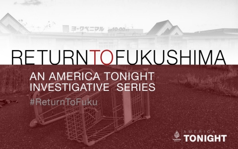 Return to Fukushima series